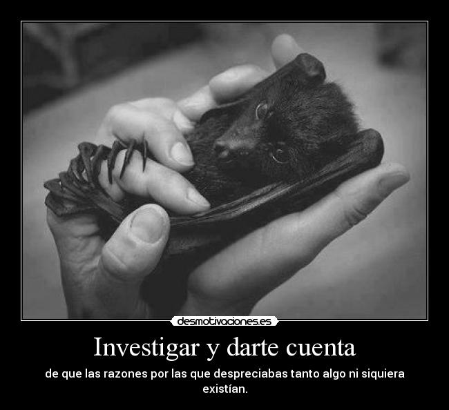 Investigar y darte cuenta - 