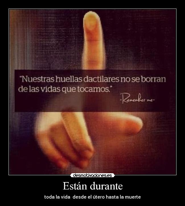 Están durante - toda la vida  desde el útero hasta la muerte