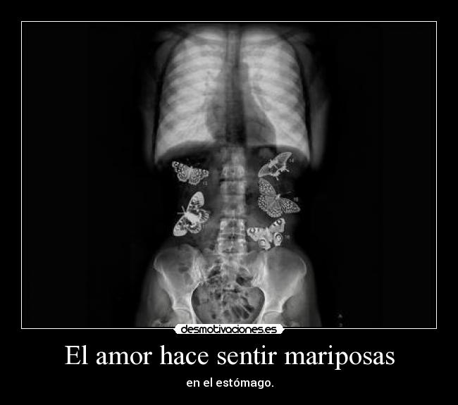 El amor hace sentir mariposas -