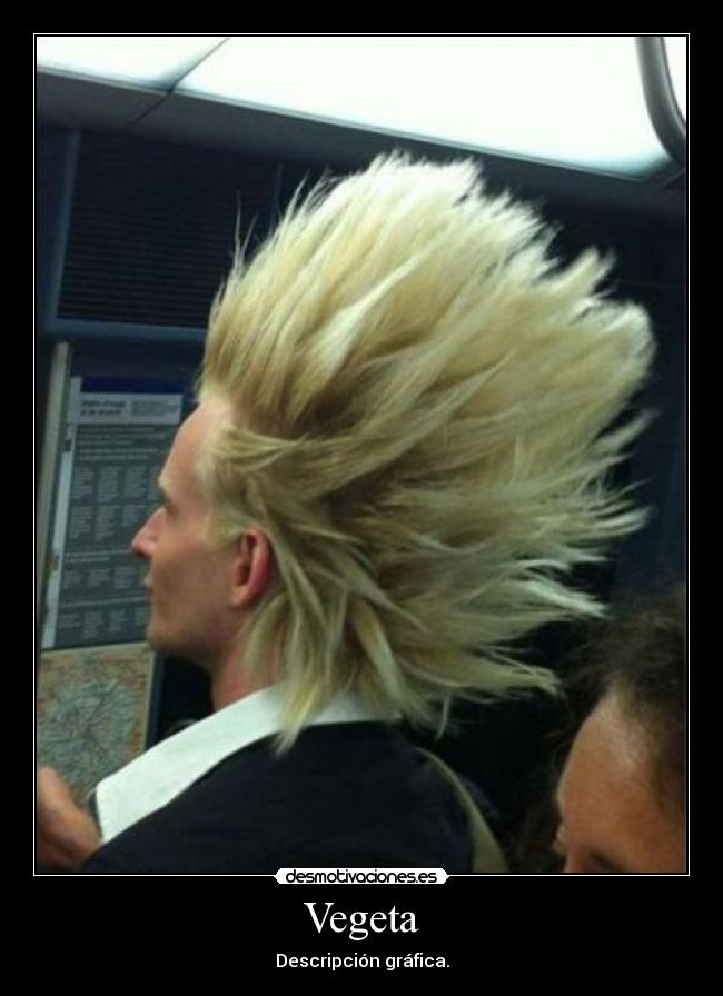 Vegeta - Descripción gráfica.