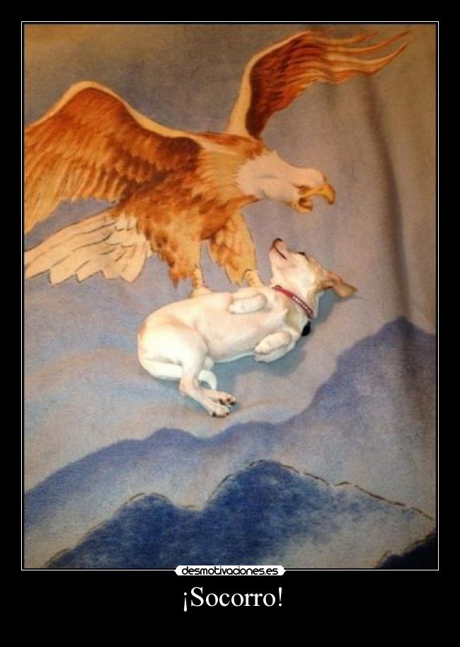 ¡Socorro! - 