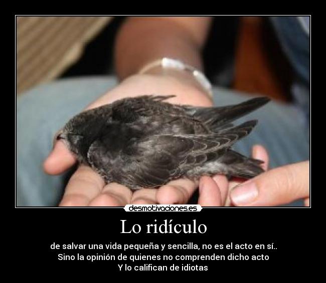 Lo ridículo -