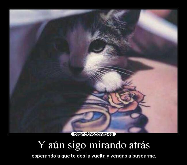 Y aún sigo mirando atrás - esperando a que te des la vuelta y vengas a buscarme.