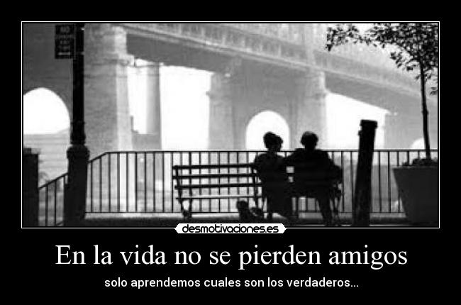 En la vida no se pierden amigos -