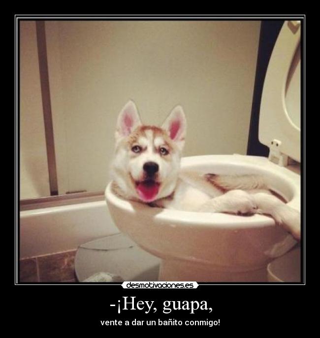 -¡Hey, guapa, - vente a dar un bañito conmigo!