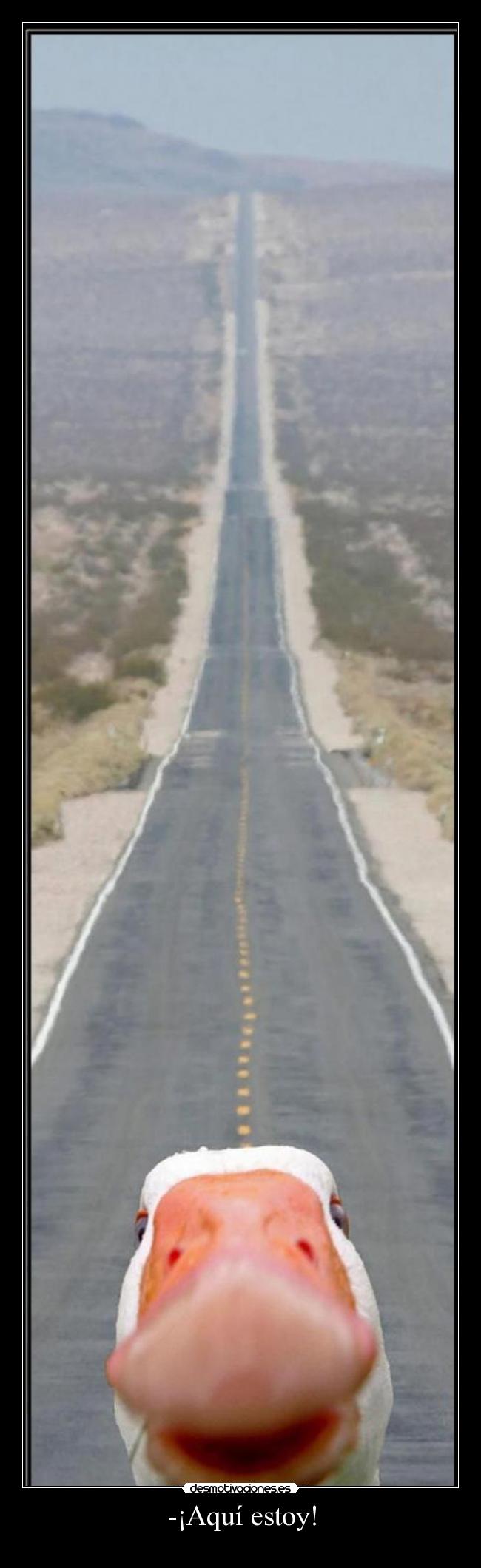 carteles luvmaker12 inesperado graciosa desmotivaciones