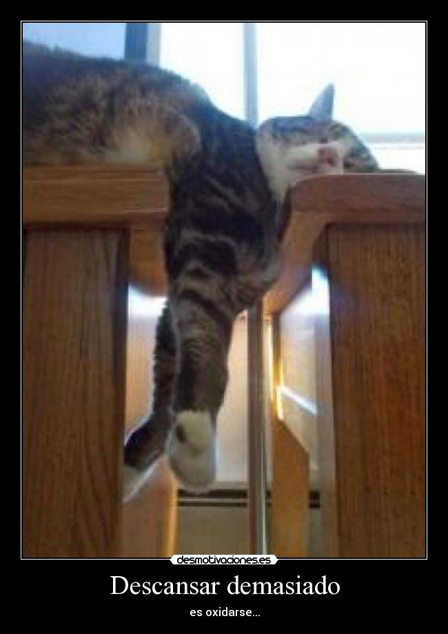 carteles oxidarse descansar desmotivaciones