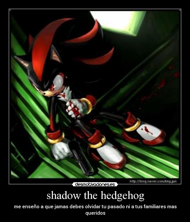shadow the hedgehog -