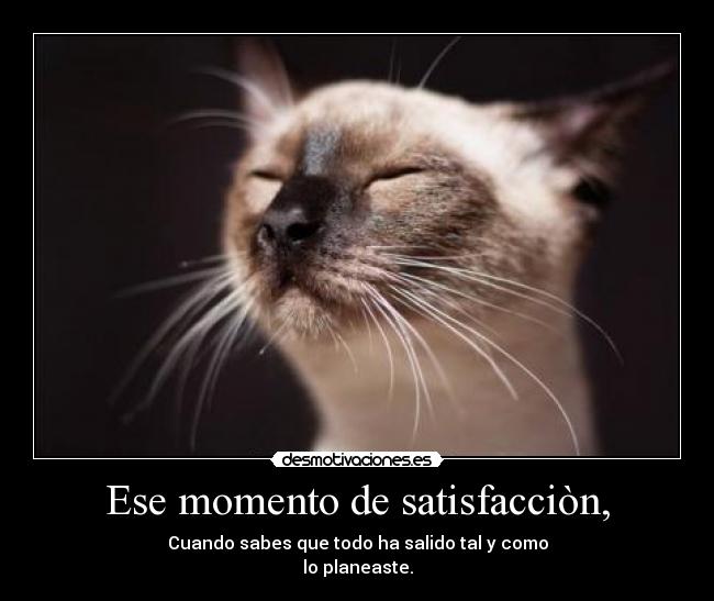 Ese momento de satisfacciòn, - Cuando sabes que todo ha salido tal y como
lo planeaste.