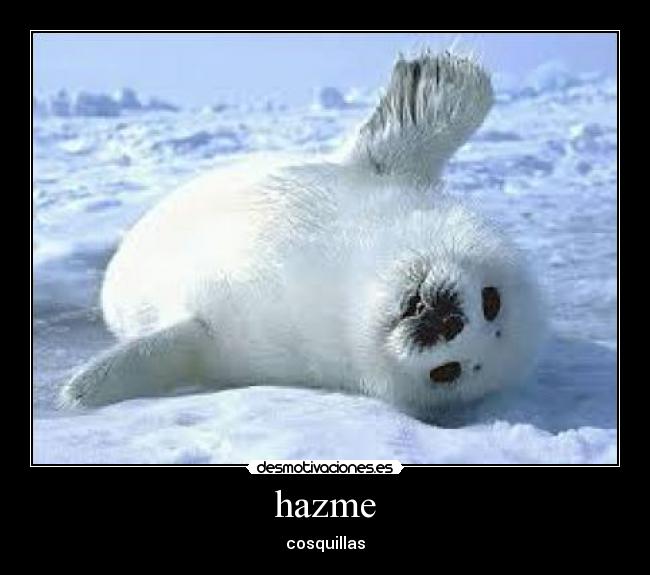 hazme - 