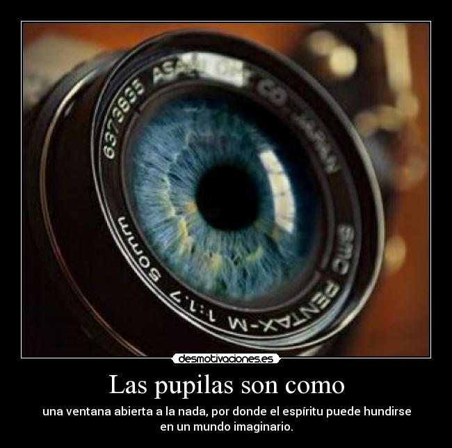 carteles blackdead pupilas desmotivaciones