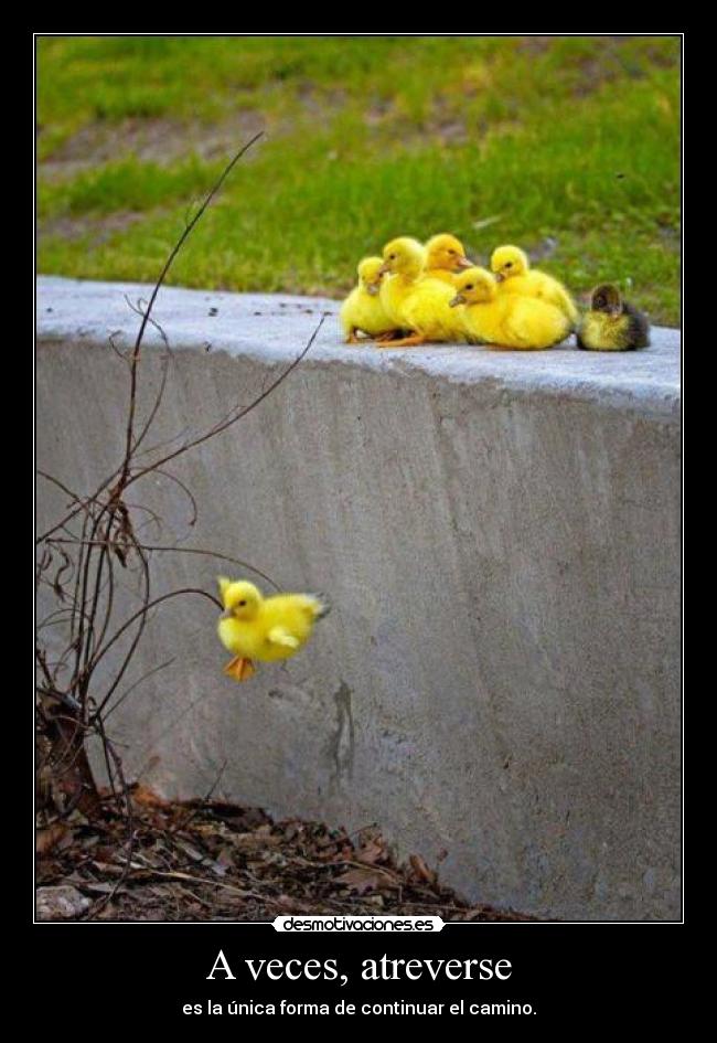 A veces, atreverse - 