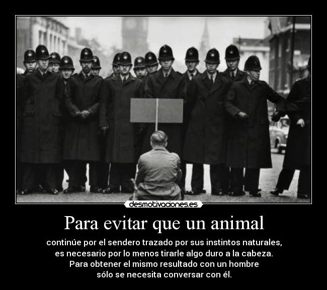 Para evitar que un animal - 