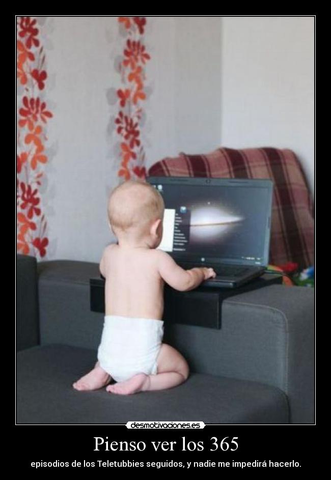 Pienso ver los 365 - episodios de los Teletubbies seguidos, y nadie me impedirá hacerlo.