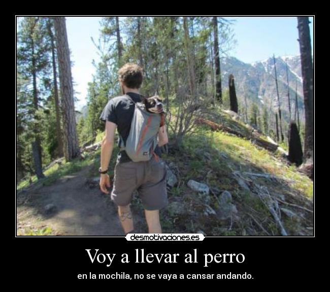 Voy a llevar al perro - en la mochila, no se vaya a cansar andando.