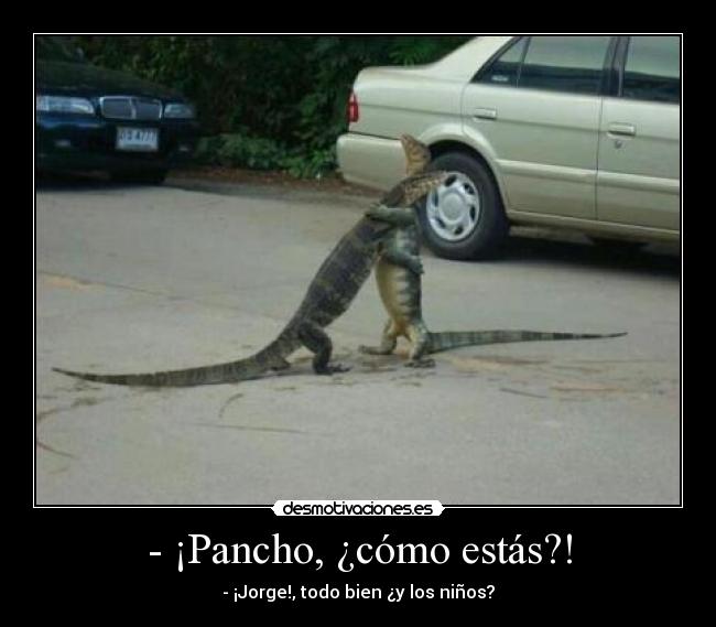 - ¡Pancho, ¿cómo estás?! - - ¡Jorge!, todo bien ¿y los niños?