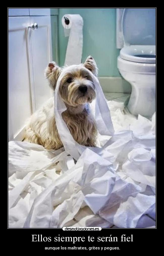 Ellos siempre te serán fiel - aunque los maltrates, grites y pegues.