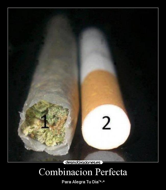 carteles combinacion desmotivaciones