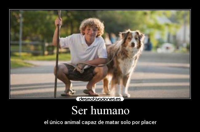 Ser humano - el único animal capaz de matar solo por placer
