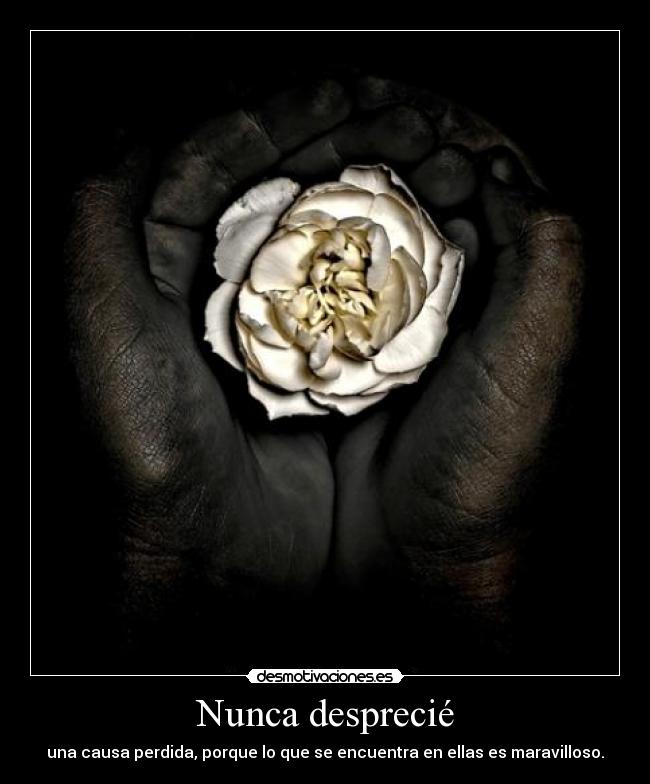 Nunca desprecié - una causa perdida, porque lo que se encuentra en ellas es maravilloso.