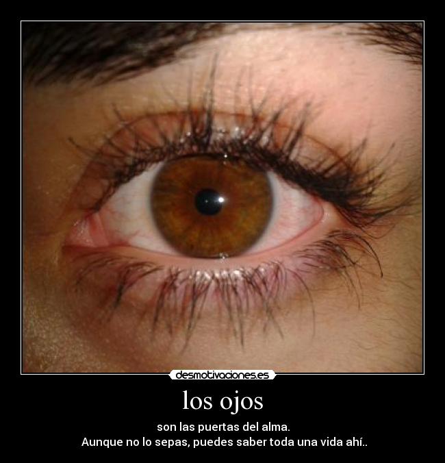 los ojos -