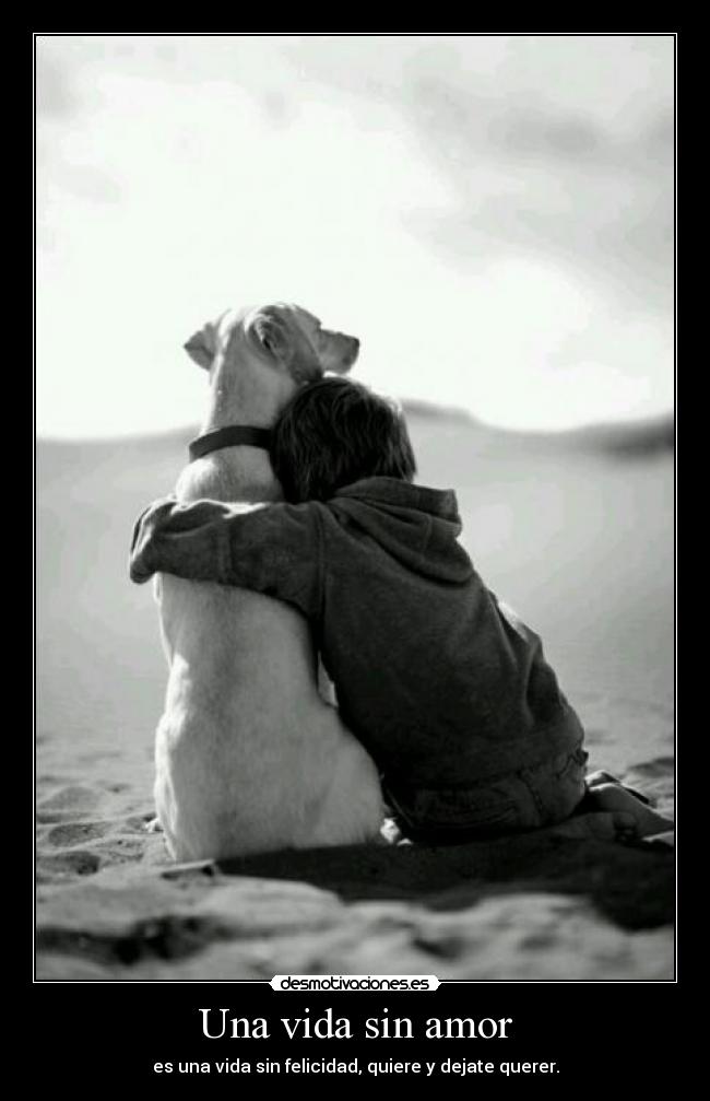 Una vida sin amor - es una vida sin felicidad, quiere y dejate querer.