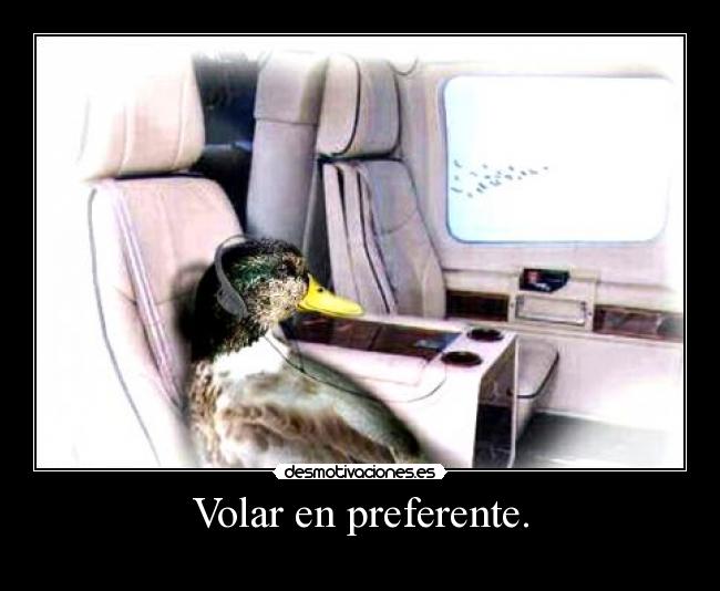 Volar en preferente. -