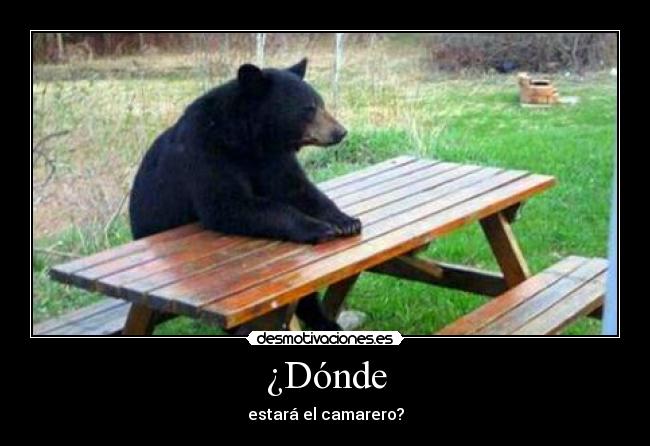¿Dónde - estará el camarero?