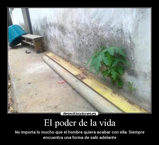 carteles vida ambiente vida humanidad sociedad plantas lugares edificios jardin anime desmotivaciones