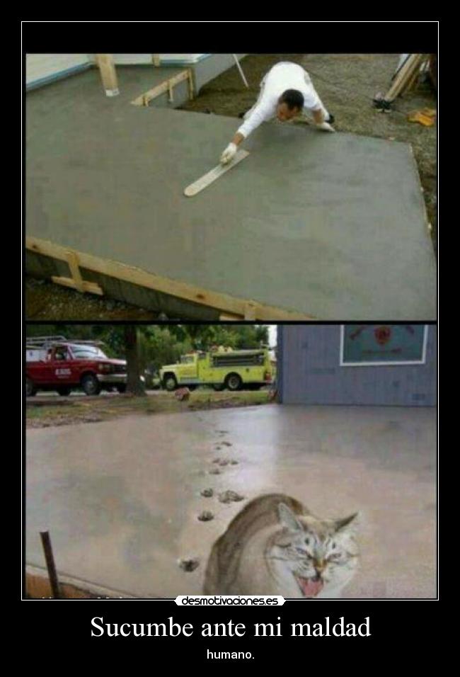 Sucumbe ante mi maldad - humano.