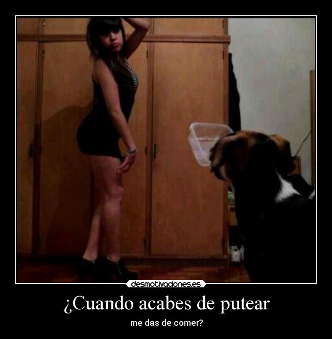 ¿Cuando acabes de putear - 