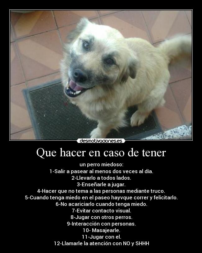 Que hacer en caso de tener -