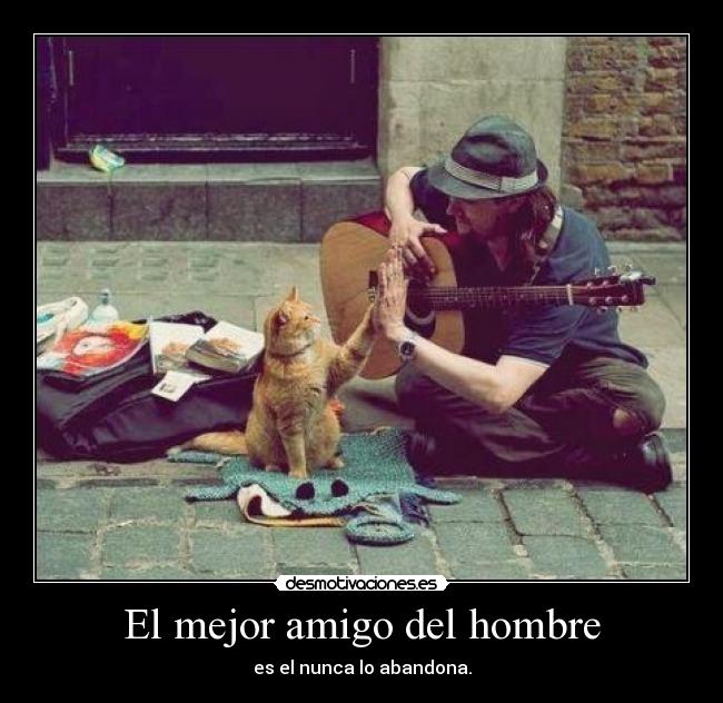 El mejor amigo del hombre -