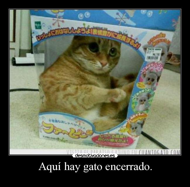 Aquí hay gato encerrado. -