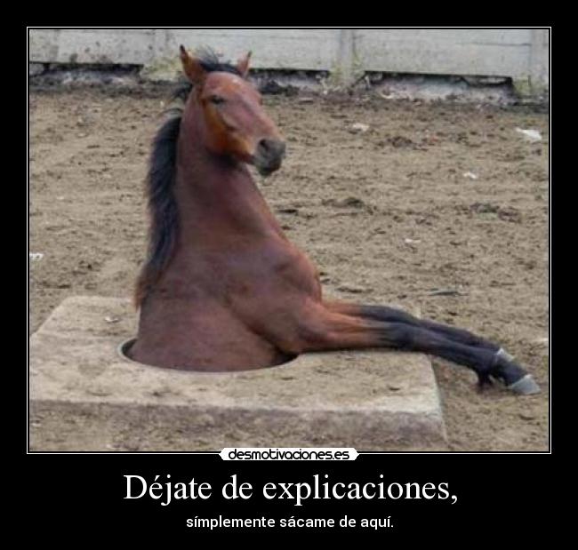 carteles caballo psilocibina justiceleague imagen overhumor tumblr com have reasonable explanation desmotivaciones