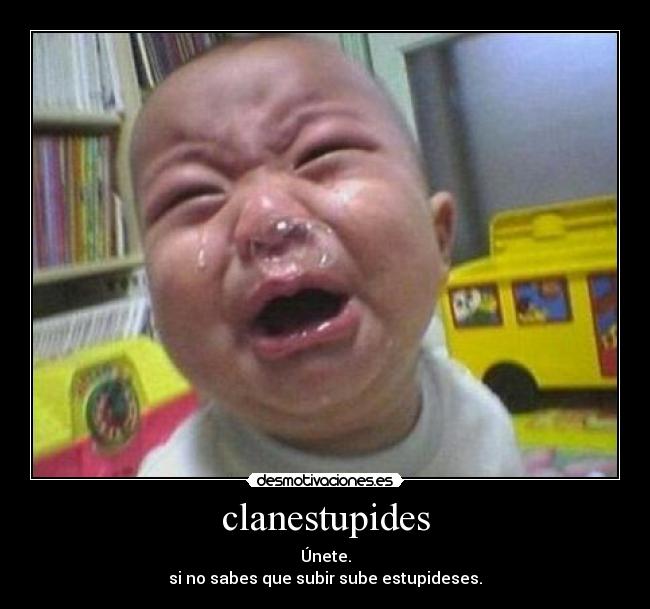 clanestupides -