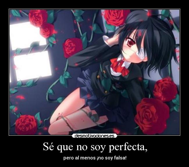 Sé que no soy perfecta, - pero al menos ¡no soy falsa!