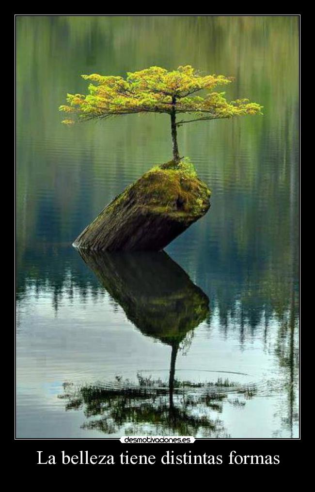 La belleza tiene distintas formas -