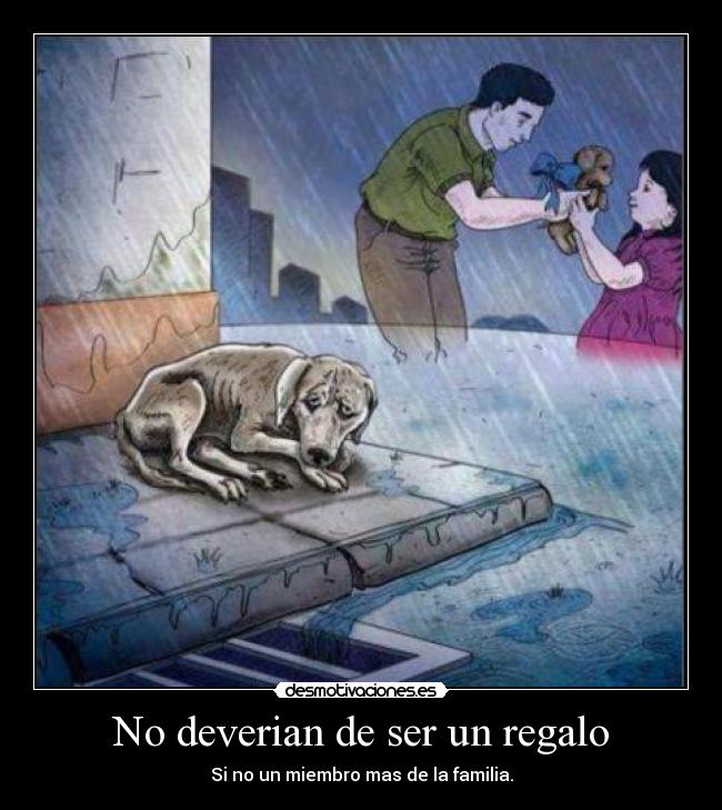 No deverian de ser un regalo - Si no un miembro mas de la familia.