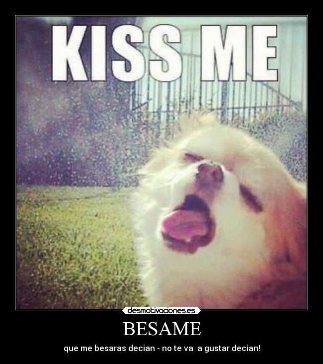 BESAME - que me besaras decian - no te va a gustar decian!