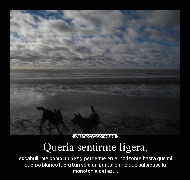 carteles resubido maite carranza palabras envenenadas estoy vuelta desmotivaciones