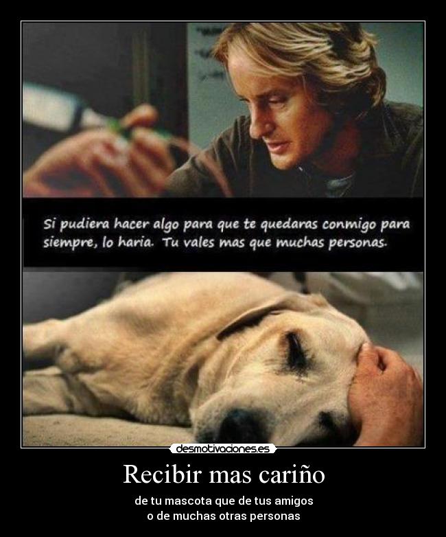Recibir mas cariño - de tu mascota que de tus amigos
o de muchas otras personas