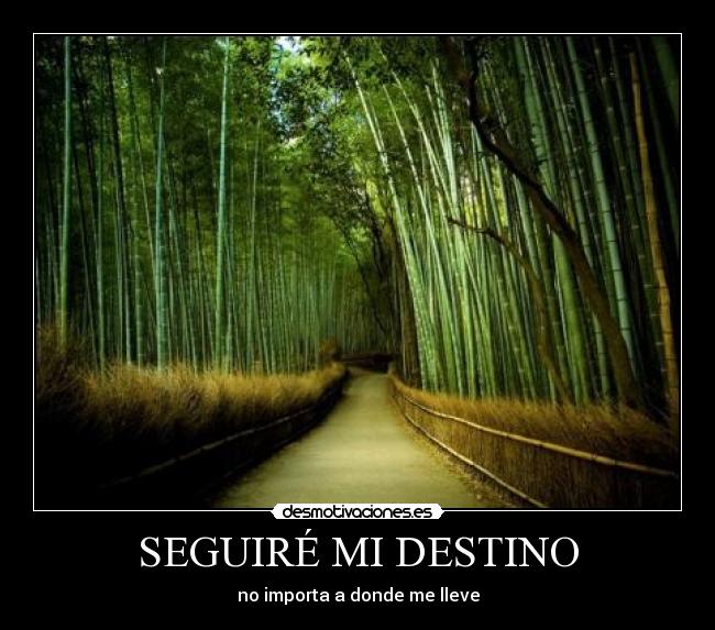SEGUIRÉ MI DESTINO - no importa a donde me lleve