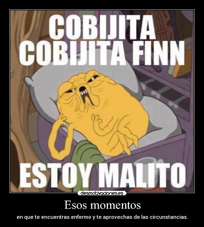 carteles horadeaventura jake enfermo circunstancias momentos aprovecharse shinigamixlll cobija television desmotivaciones