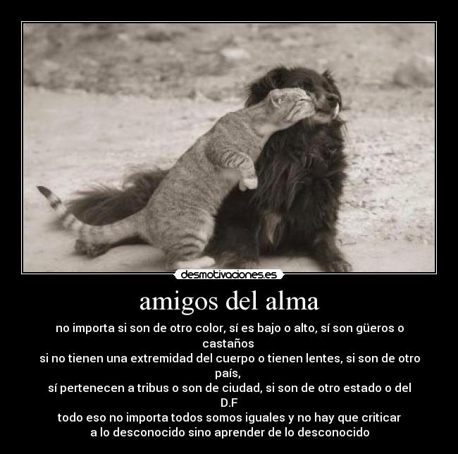 amigos del alma -