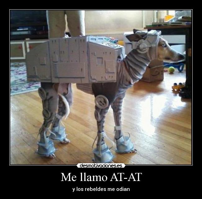 carteles eften perrosmolanmasquegatos desmotivaciones