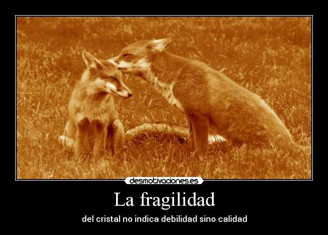 La fragilidad -