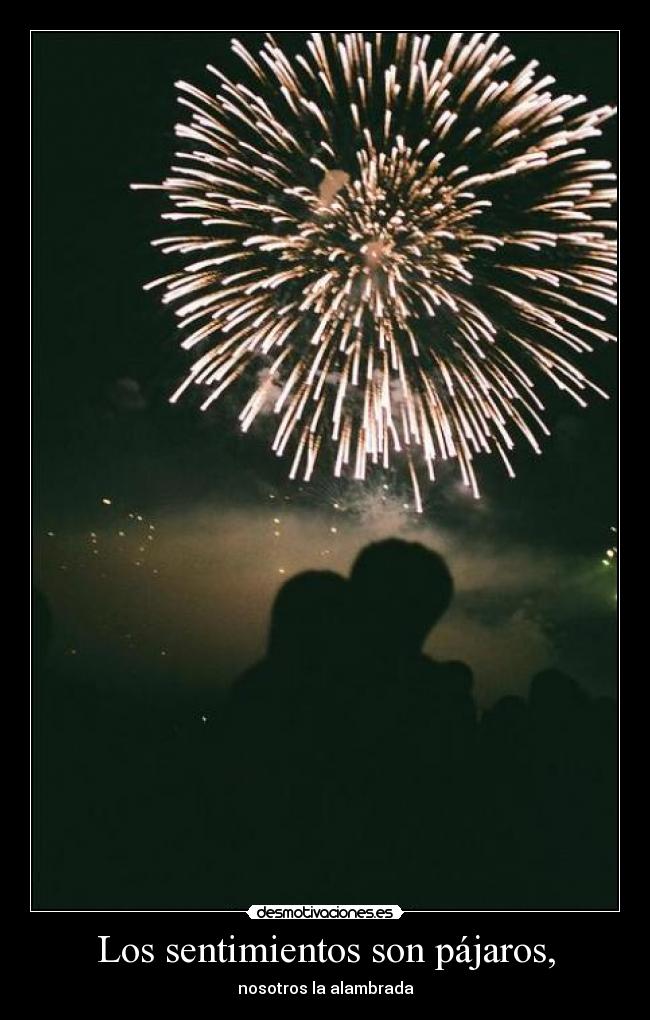 Los sentimientos son pájaros, -