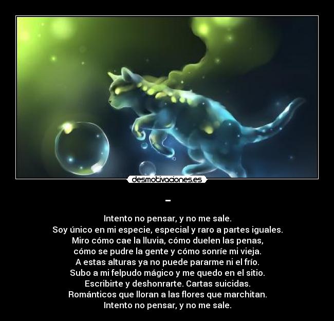 - - Intento no pensar, y no me sale.
Soy único en mi especie, especial y raro a partes iguales.
Miro cómo cae la lluvia, cómo duelen las penas,
cómo se pudre la gente y cómo sonríe mi vieja.
A estas alturas ya no puede pararme ni el frío.
Subo a mi felpudo mágico y me quedo en el sitio.
Escribirte y deshonrarte. Cartas suicidas.
Románticos que lloran a las flores que marchitan.
Intento no pensar, y no me sale.