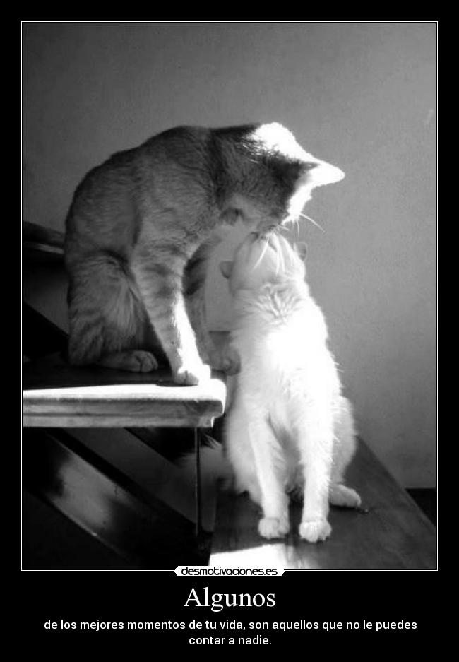 Algunos - de los mejores momentos de tu vida, son aquellos que no le puedes contar a nadie.